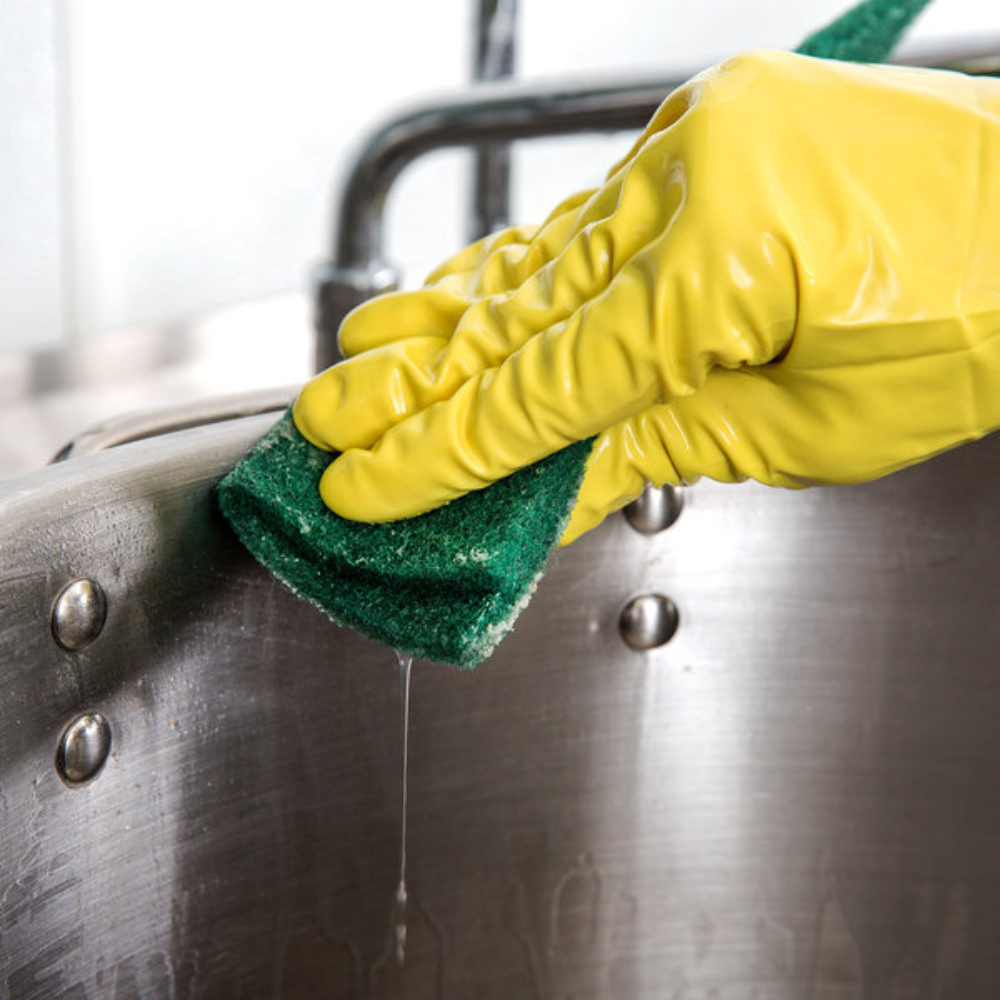 9″ x 6″ HeavyDuty Green Scouring Pad 10/Pack Evolvewhs