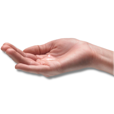 Purell Hand Sanitizer Refill 8/1000ml cs/ct